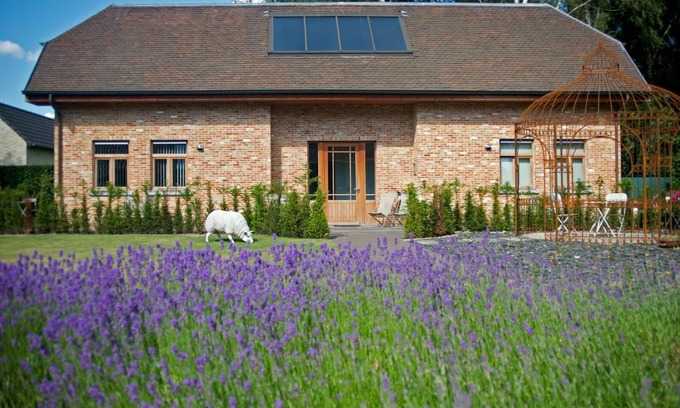 Gierle Bed & Breakfast | B&B Gielse Garden