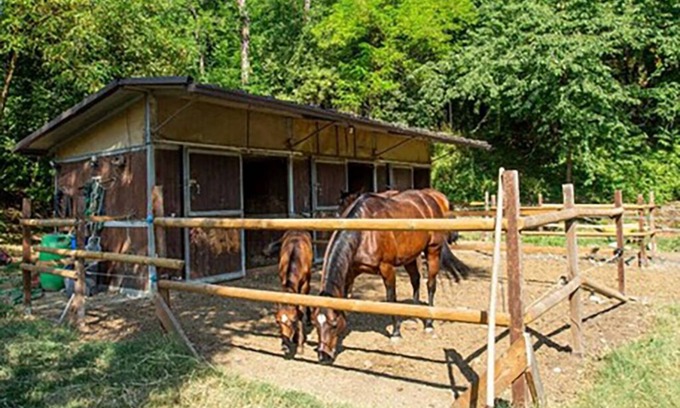 Bassano Sotto Bed & Breakfast | B&B in Valtrebbia