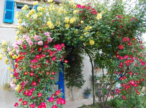 Monterubbiano House | B&B Vento di Rose