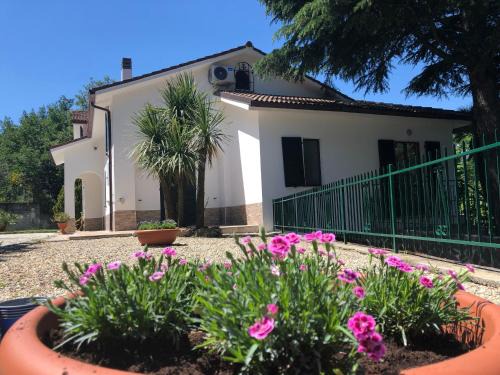 Boissano Bed & Breakfast | B&B Zac House