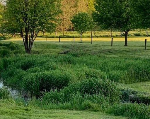 Steelville Apartment | Backyard Farm Retreat.Home of Peace an Relaxation.