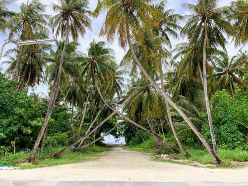 Haa Dhaalu Atoll House | Bahee Residence