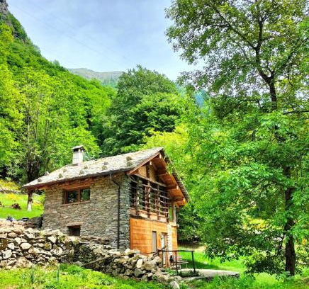 Mollia Ski Chalet | Baita del noce