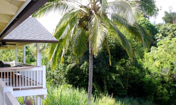 Pauwela House | Bamboo View Suite 2bd 1bth At Bamboo Valley Inn