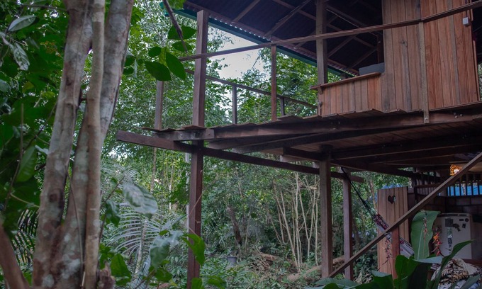 Alter do Chao House | Bangalô na floresta