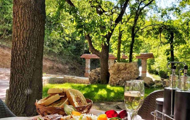 Skopje Region Hotel | BANJA SVETA NEDELA