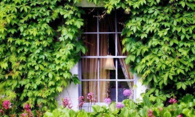 Straffan Hotel | Barberstown Castle