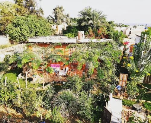 Yusuf as-Sidiq House | Barefoot by Barefoot in Tunis