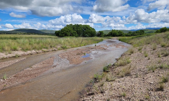 Mule Creek House | Base Camp for Your Southwest Expedition!