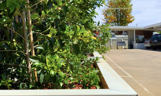 Moree Hotel | Baths Motel