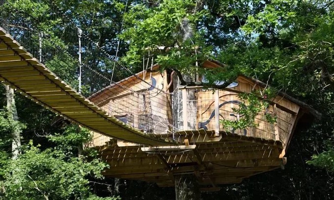 Dienne Cabin | Baumhaus 2 Personen