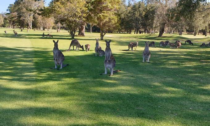 Batemans Bay House | BEACH AND GOLF RESORT