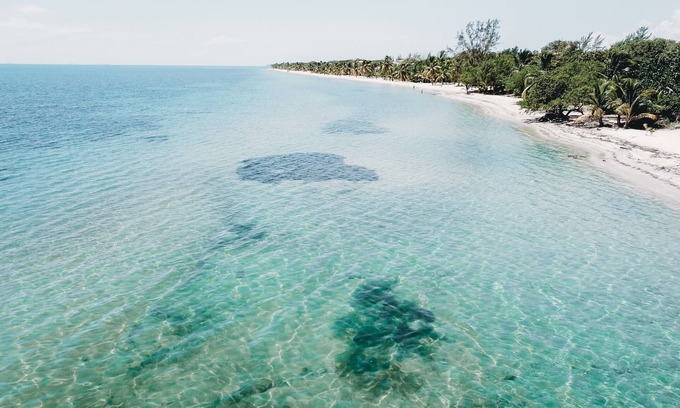 Cocoplum House | Beach Front Studio - Turtle Tides