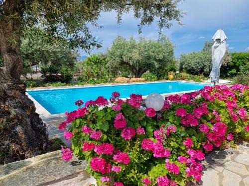 Koutsoupia Villa | Beach Villa Claire
