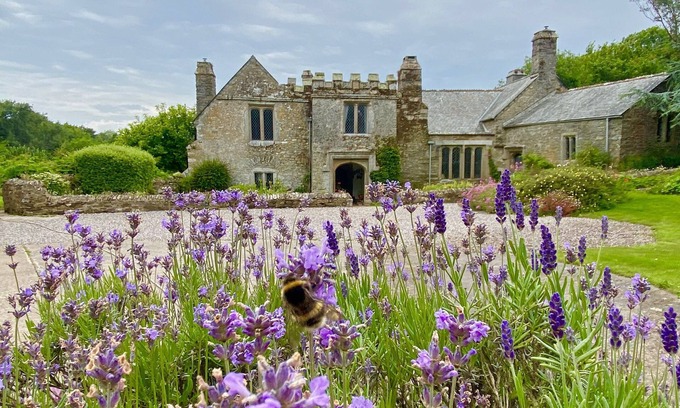 Newton Ferrers Apartment | Beautiful apartment within Grade 1 listed Manor House