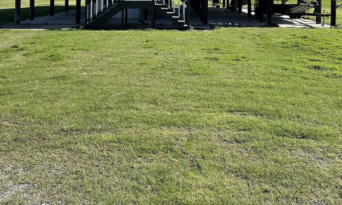 Dulac House | Beautiful Bayouside