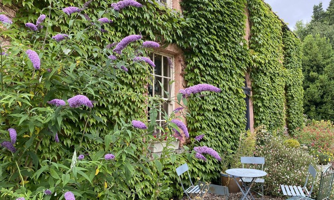 Whitegate House | Beautiful Country Manor House Set in Lush Grounds, Lake Views