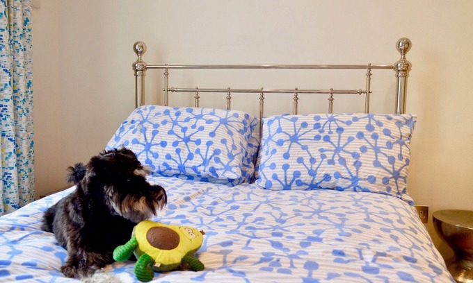 Comely Bank Apartment | Beautiful Home In Stockbridge, Edinburgh