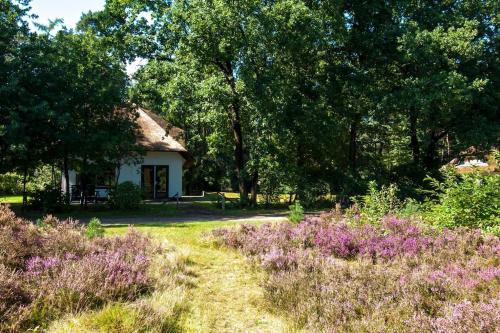 Otterlo House | Beekje - Rolstoelvriendelijk en comfortabel 8p