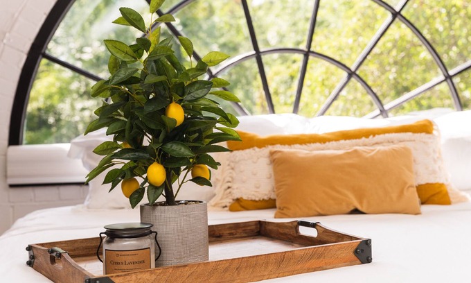 Harrington Park House | BELLA VISTA - A PIECE OF PARADISE ONLY 20 MIN AWAY FROM NYC