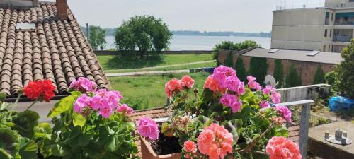 Mantua Apartment | Bellavista Mantova