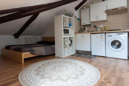 Cit Turin Apartment | Bellissima Mansarda a 200m da Porta Susa
