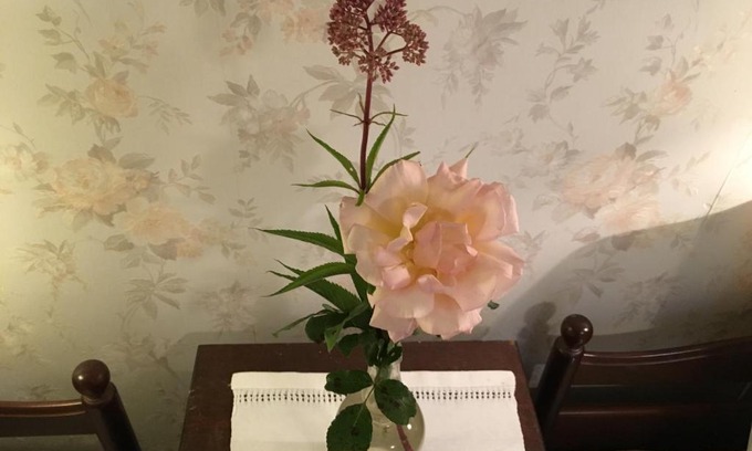 Sloinge Bed & Breakfast | Berte Bed&Breakfast