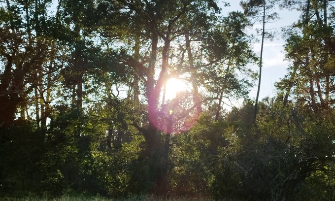 Noaillan House | Bienvenue en sud Gironde
