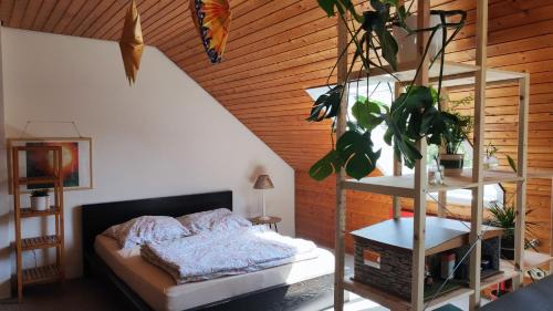 Heideviertel Apartment | Big Cozy Entire Family Appartment
