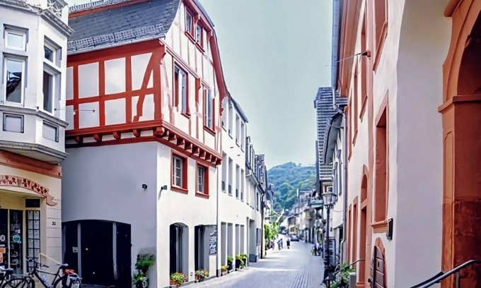 Mainz-Bingen Apartment | Bike & Hike- up to 6 Pers- starting your active days in the Middle Rhine Valley