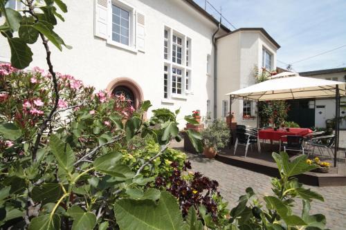 Flomborn House | Bio-Weingut, Gästehaus und Kräuterhof