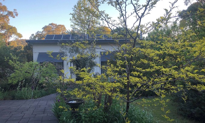 Woori Yallock Cottage | Bird Hill - An Amazing Place to Stay, with nature at every window