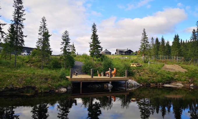 Vefsn Hotel | Blåfjell hundesenter fjellhotell
