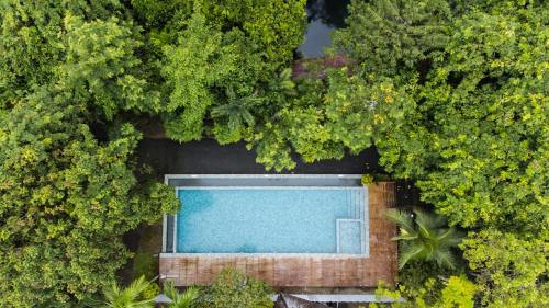 Krabi Resort | Blu Monkey Pooltara Krabi Hotel & Villas Pet Friendly