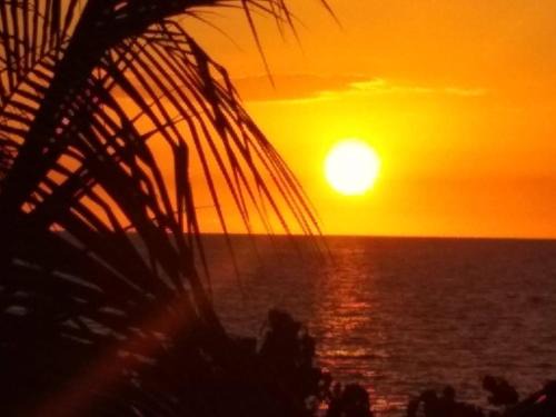 Crane corner House | Blue Dolphin Guest House