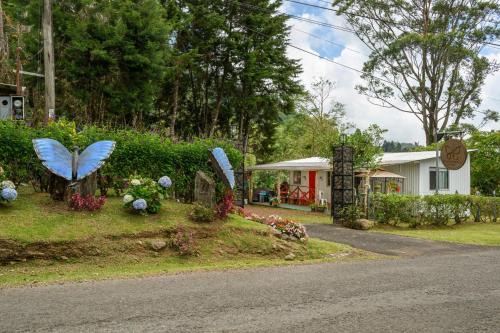Bajos del Toro Cabin | Blue Morpho Lodge