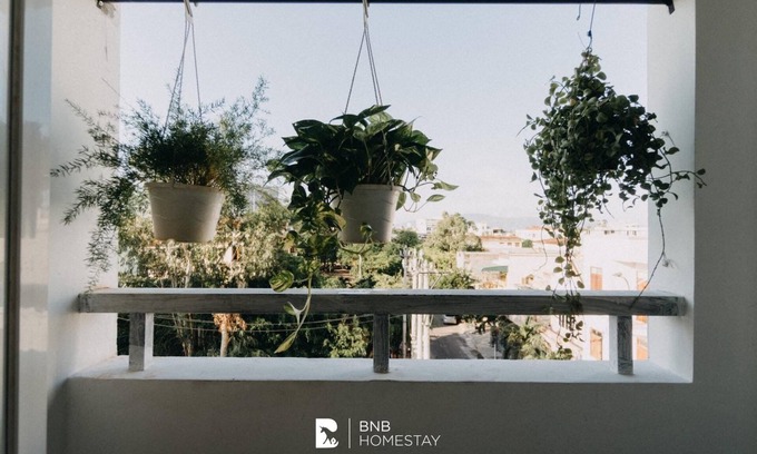Quy Nhon Apartment | BnB Homestay awaits