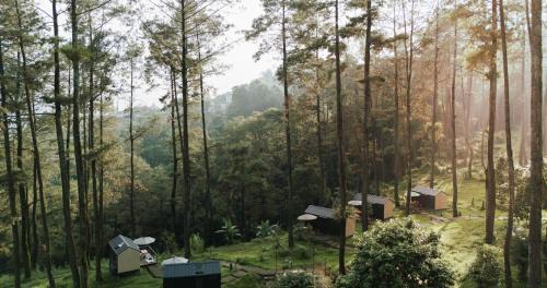 Pacet Resort | Bobocabin Pacet, Mojokerto