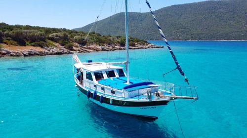 Bodrum City Center Boat Rental | Bodrum Private Boat Tours -Daily -Yacht Tours Bodrum