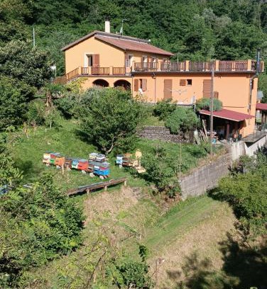 Carrodano House | #bordigona