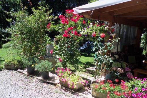 Borgo Val di Taro Bed & Breakfast | Borgoeden
