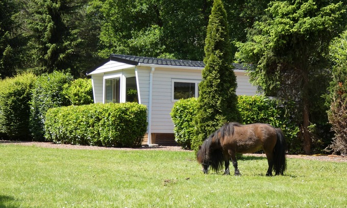Marum Ski Chalet | Boshuisje op rustiek terrein