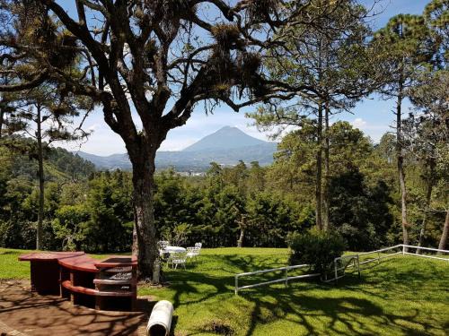 Santa Catarina Barahona Bed & Breakfast | Bosque Macadamia