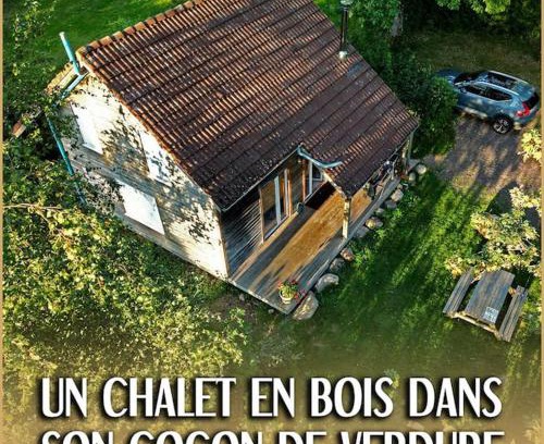 Ecromagny Ski Chalet | Bouleau - Chalet en bois dans son écrin de verdure