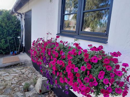 Brosarp Apartment | Brösarp Källagården Lilla Gårdslägenheten