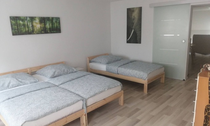 Lahr Apartment | Bright 2 room apartment 25min to Europapark