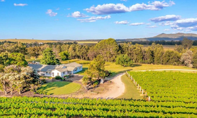 Broke House | Broke in the Vines