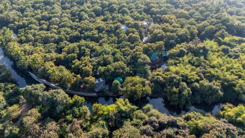 Talala Hotel | Brook Ville