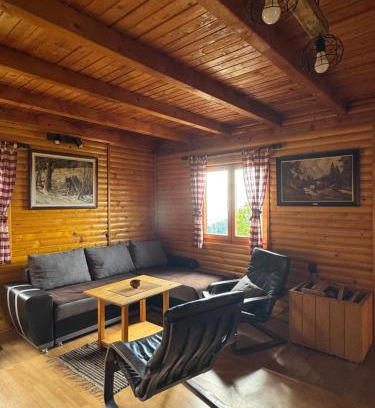 Kremna House | Brvnara Jevtic, Tara