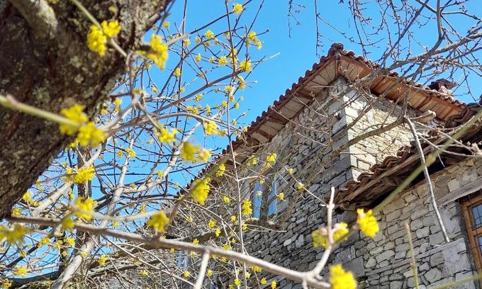 Tirana House | Bujtina Tusha